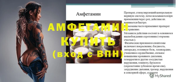 PSILOCYBIN Майский