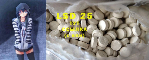 PSILOCYBIN Майский