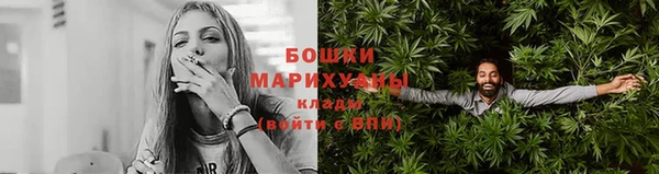 PSILOCYBIN Майский