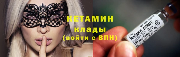 хмурый Магас
