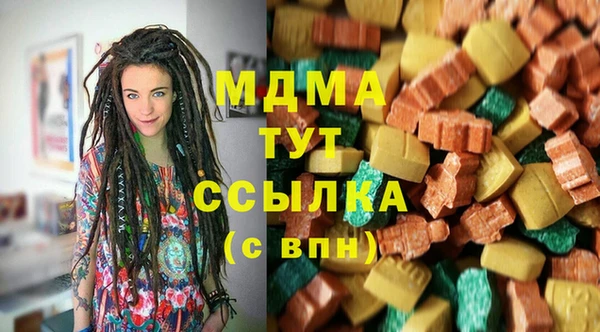 хмурый Магас