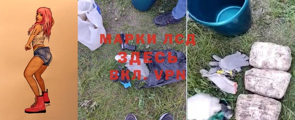 хмурый Магас