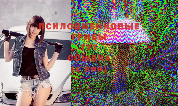 каннабис Магадан