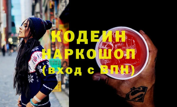 хмурый Магас