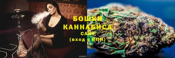 PSILOCYBIN Майский