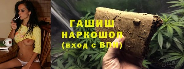 хмурый Магас