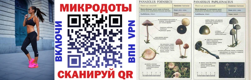 Псилоцибиновые грибы MAGIC MUSHROOMS Купить Кушва